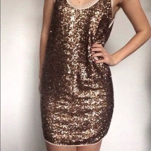 Bronze Sequin Wilfred/Aritzia Shift Dress